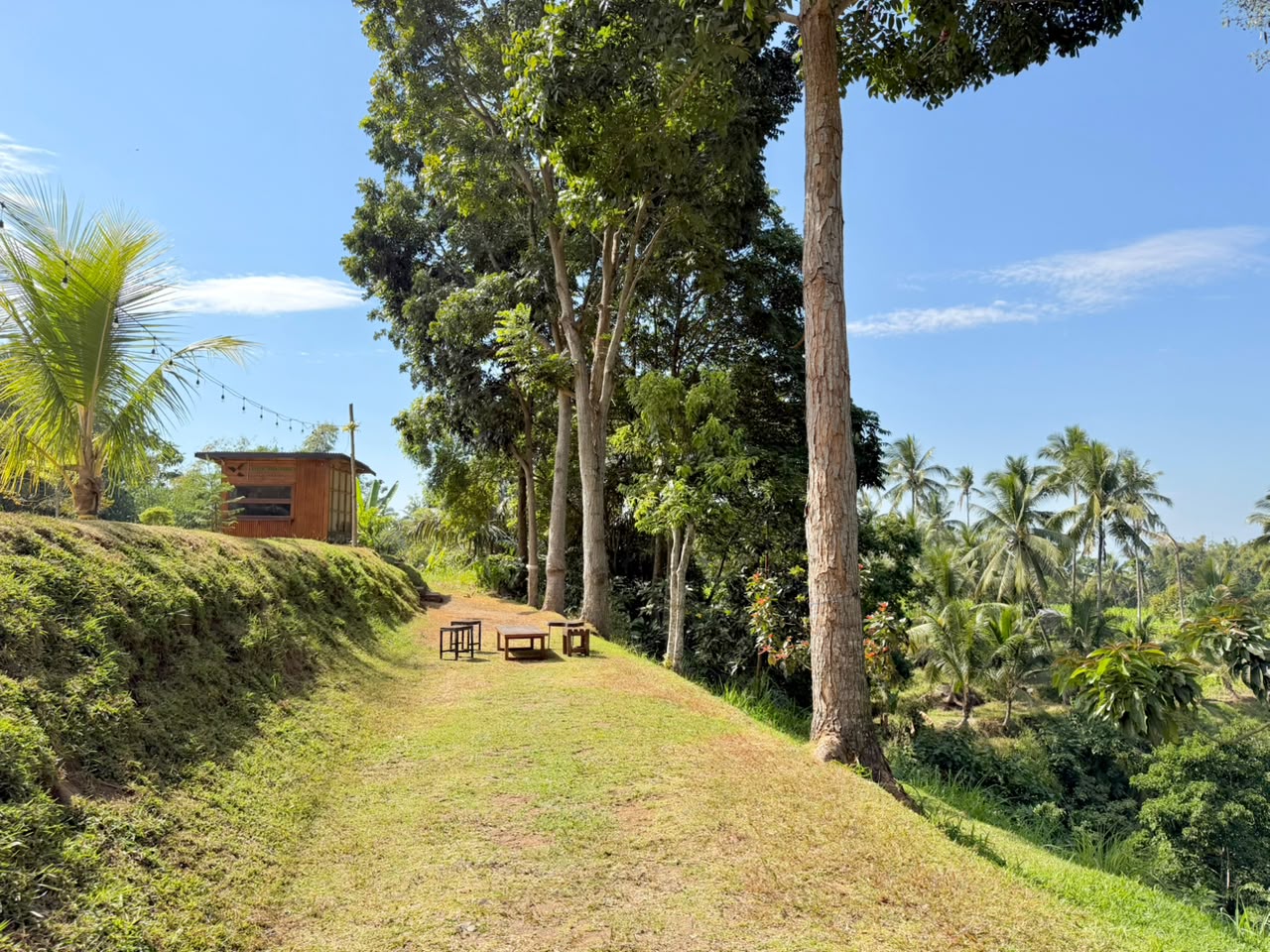 Galeri